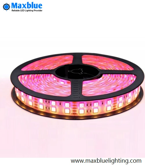 Светодиодная лента RGBW SMD5050 RGB + теплый/холодный белый свет 24 В постоянного тока