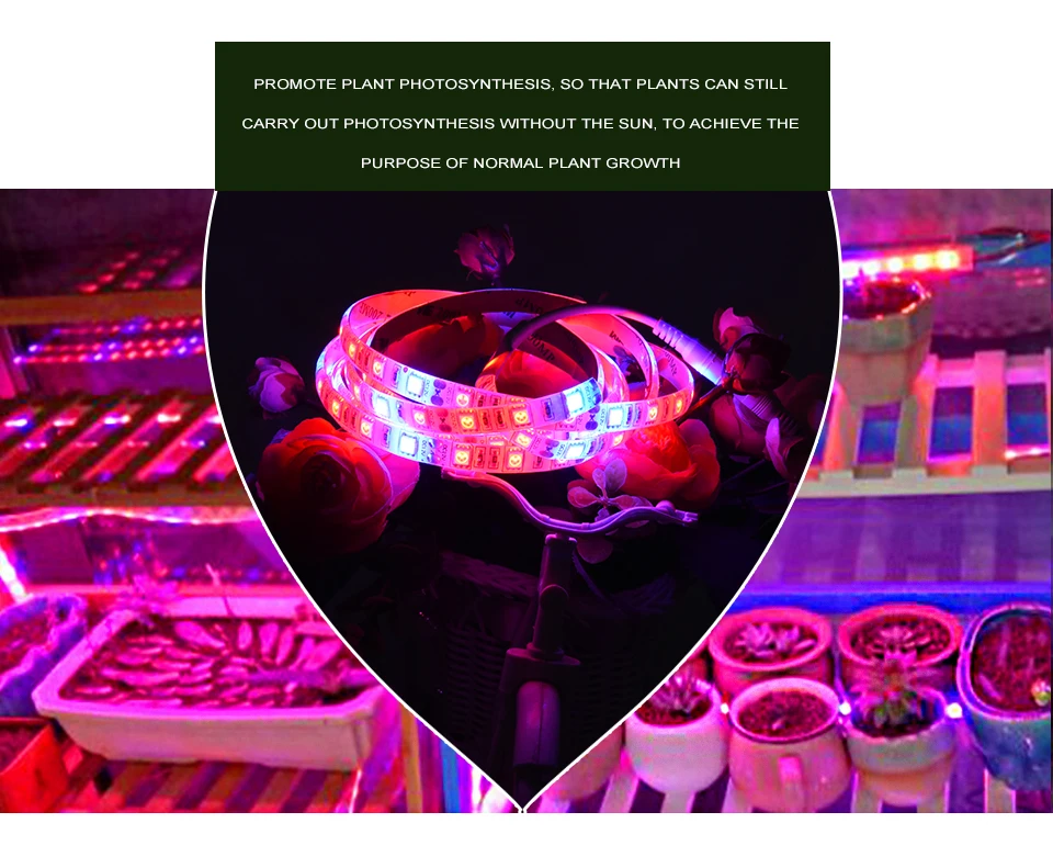 5 M светодиодный растет свет лампы для растений 5050 Светодиодные ленты полный спектр расти светодиодный Phytolamp завод Свет с Мощность адаптер сенсорный выключатель