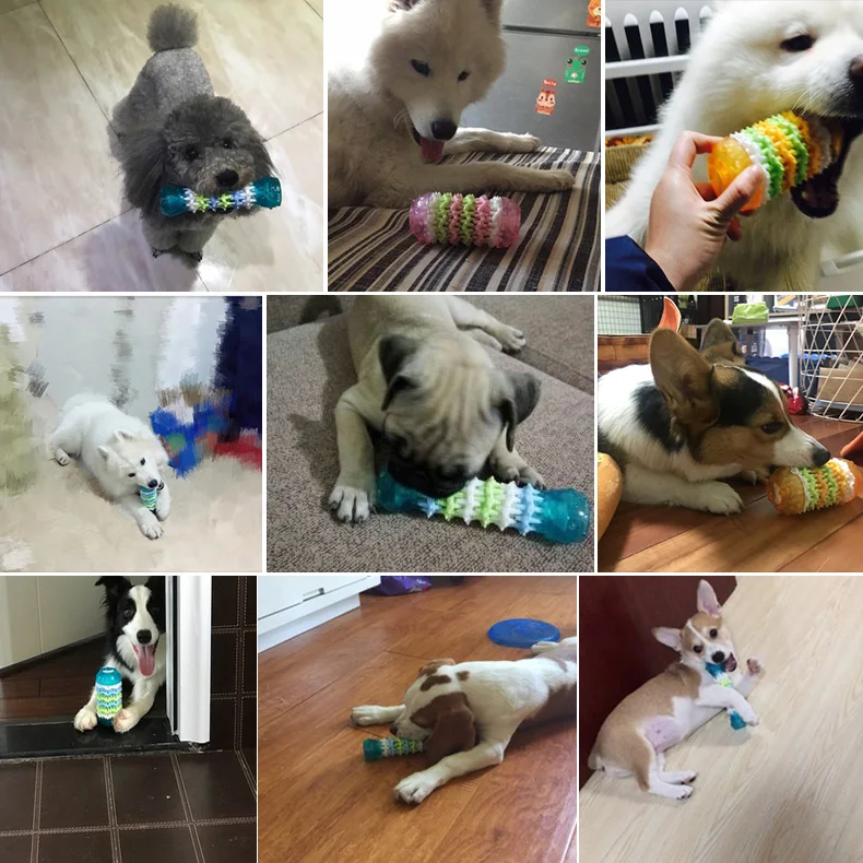 lADPBbCc1UL004XNAxbNAxY_790_790