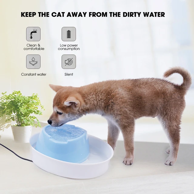 Local Delivery Automatic Pet Feeder Electric Fountain Cats Pet Bowl Drinking Cycle Filtered Water Dispenser Drink Dish Filter