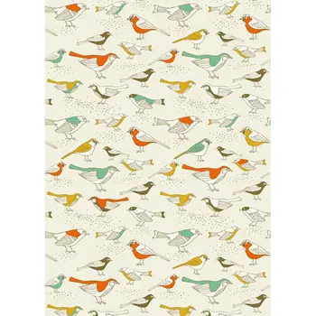 

LIFE MAGIC BOX Photography Backdrop Birthday Birds Studio Background