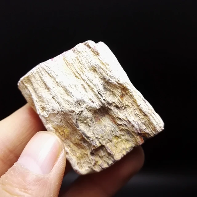 Best Offers 47.2g NATURAL Stones and Minerals Rock Petrified Wood fossil Crystal RARE UNIQUE Specimens 4#