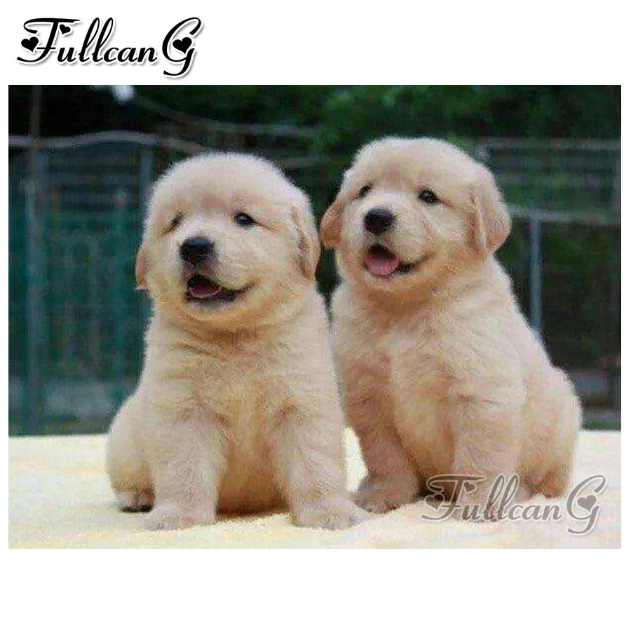 

FULLCANG diy 5d mosaic full embroidery rhinestones animals chow chow dog painting with diamond mazayka square/round drill FC951