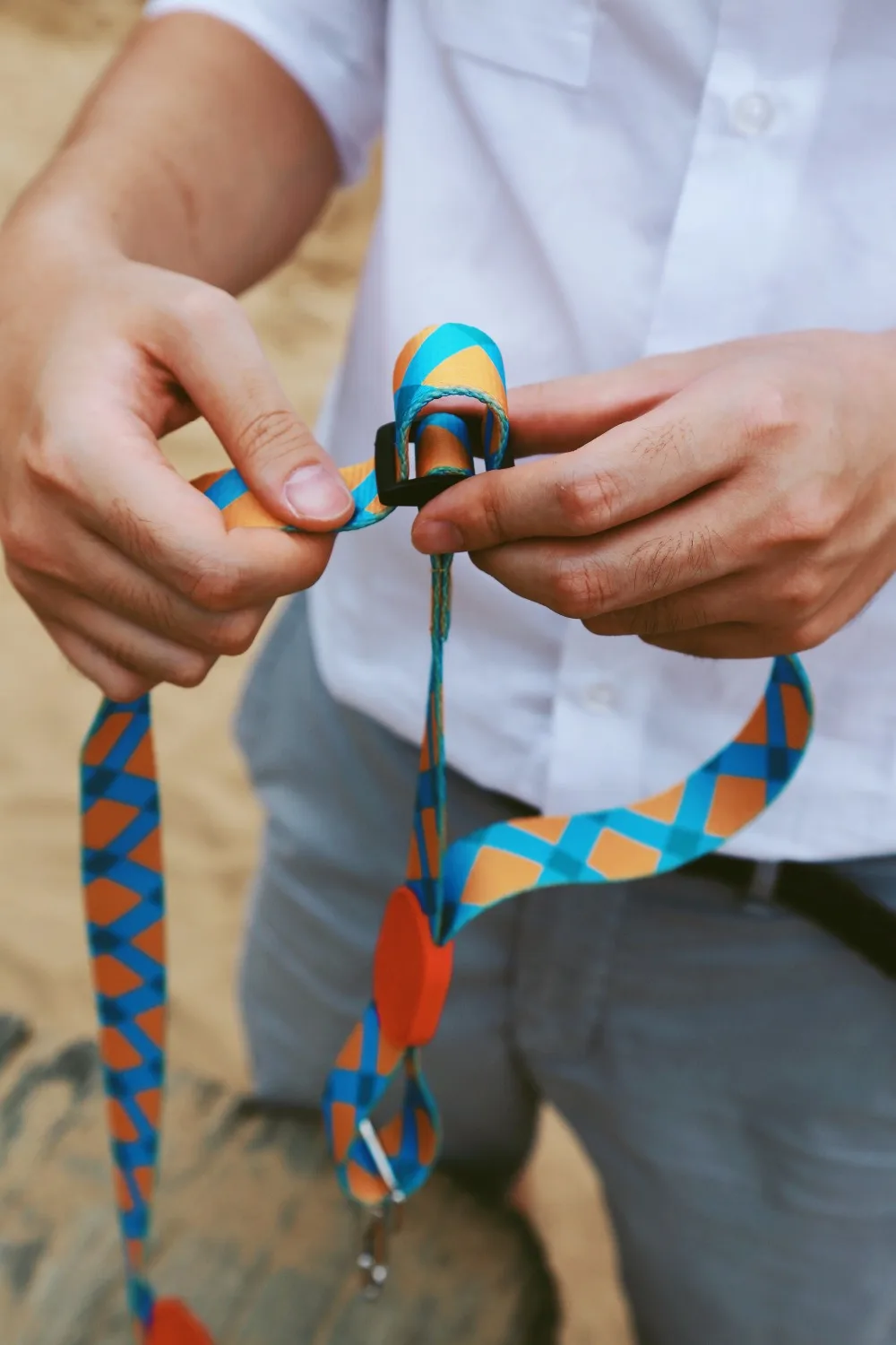 

2018 Dog Leash Pet Products For Dog Sunshine California High Quality And Colorful Fashion And New Design