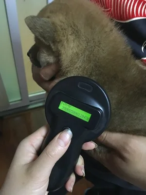 Free shipping FDX-B 125KHz/134.2KHz Pet Microchip Scanner RFID Reader Ear Tag animal handheld Reader USB Store data цена Free shipping FDX-B 125KHz/134.2KHz Pet Microchip Scanner RFID Reader Ear Tag animal handheld Reader USB Store data цены онлайн