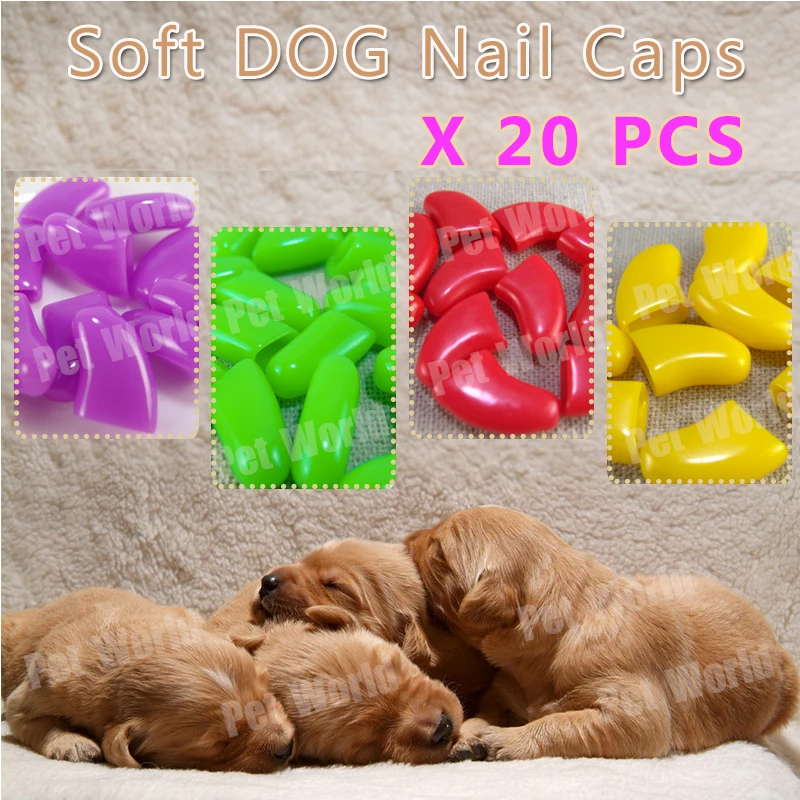 

Free Shipping 20 pcs/lot Pet Dog Finger Grooming paw claw Pet Dog Nail Caps Claw Control Soft Paw Caps with Adhesive Glue