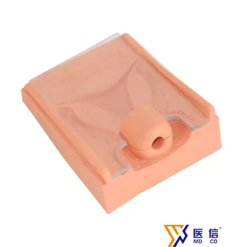 

Contraception Guidance Model Family Planning Training Model IUD Training Model Eudcationmodel