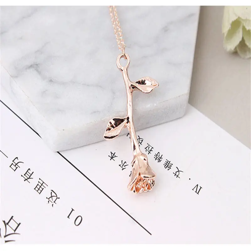 XL0009A (5)