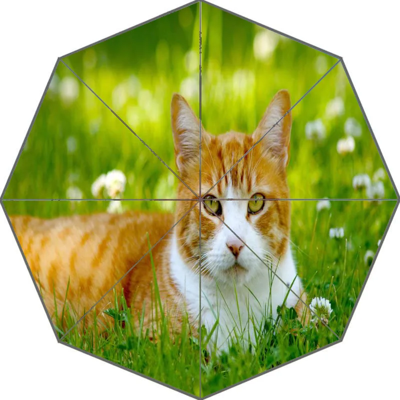 Милый мультяшный котенок, кошка, зонтик на заказ, солнечный и дождливый зонтик, дизайн, портативный, модный, стильный, полезный зонтик, хороший подарок - Цвет: Серый