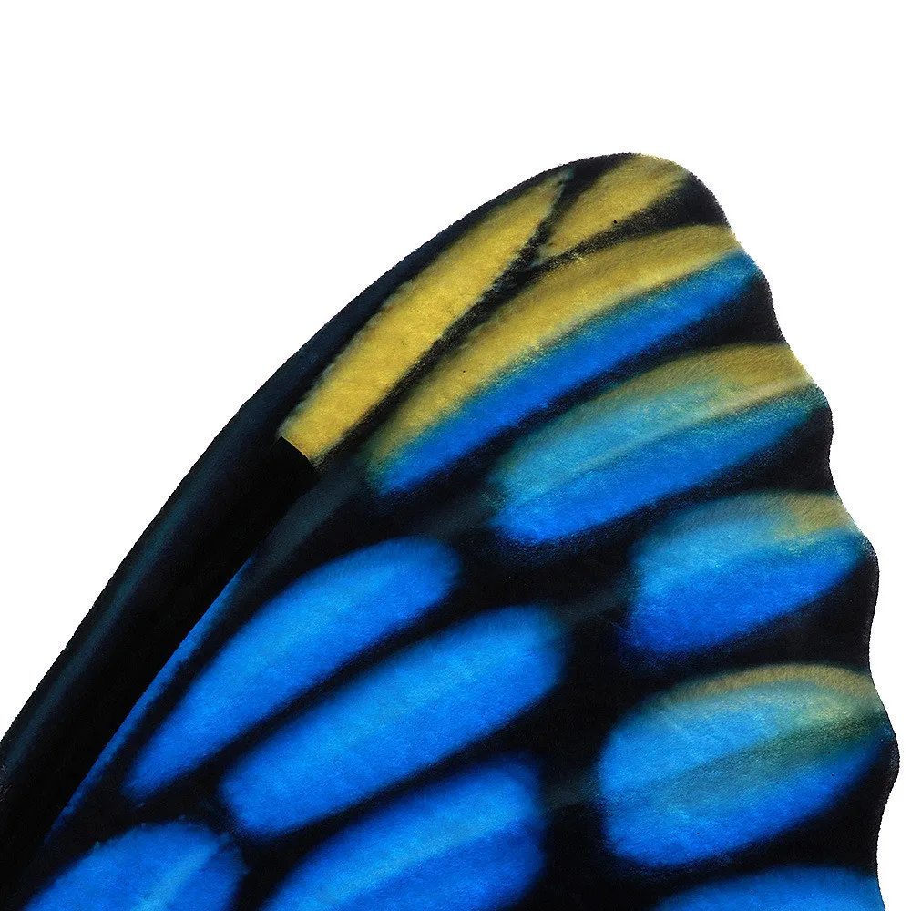 11345294492_1753303090