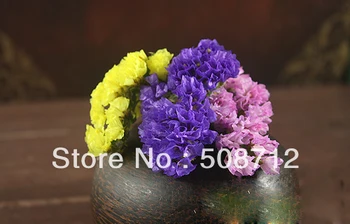 

Free shippin!!! 100pcs/lot Mixed Color "forget-me-not"Flower Stuffing/ filler For Glass Cover Vials Pendant