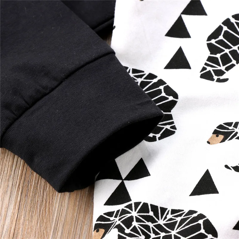 Комплект одежды для мальчиков и девочек с капюшоном штанами|clothing sets|outfit setset newborn |