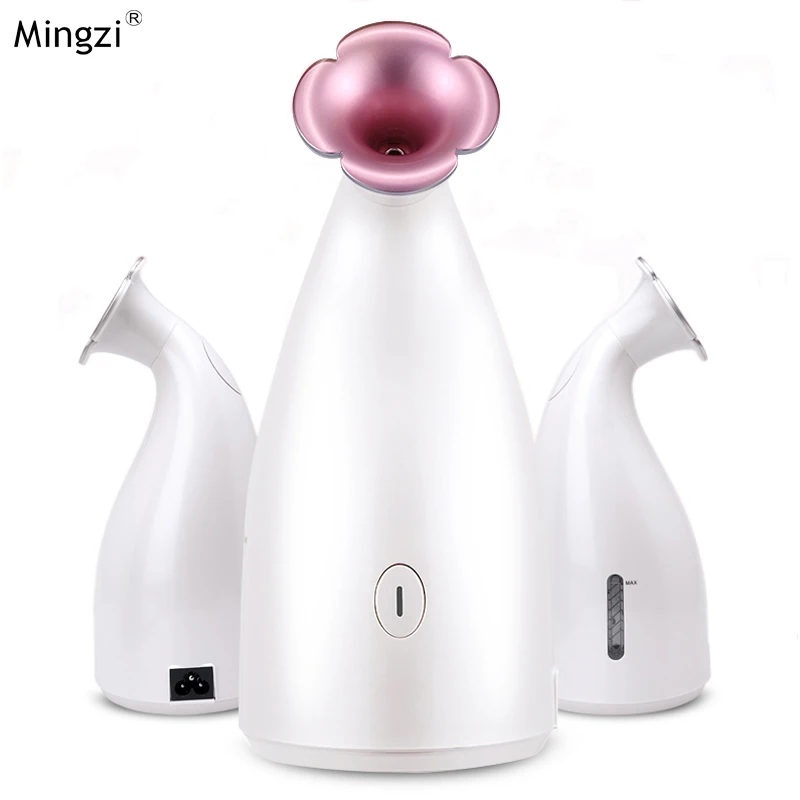 110V Warm Nano mist Nano Sprayer Facial Steamer Skin Moisture Facial