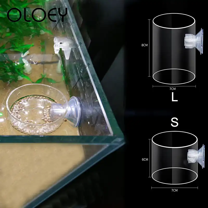 Automatic Fish Feeder Transparent Plastic Food Feeders Pet For
