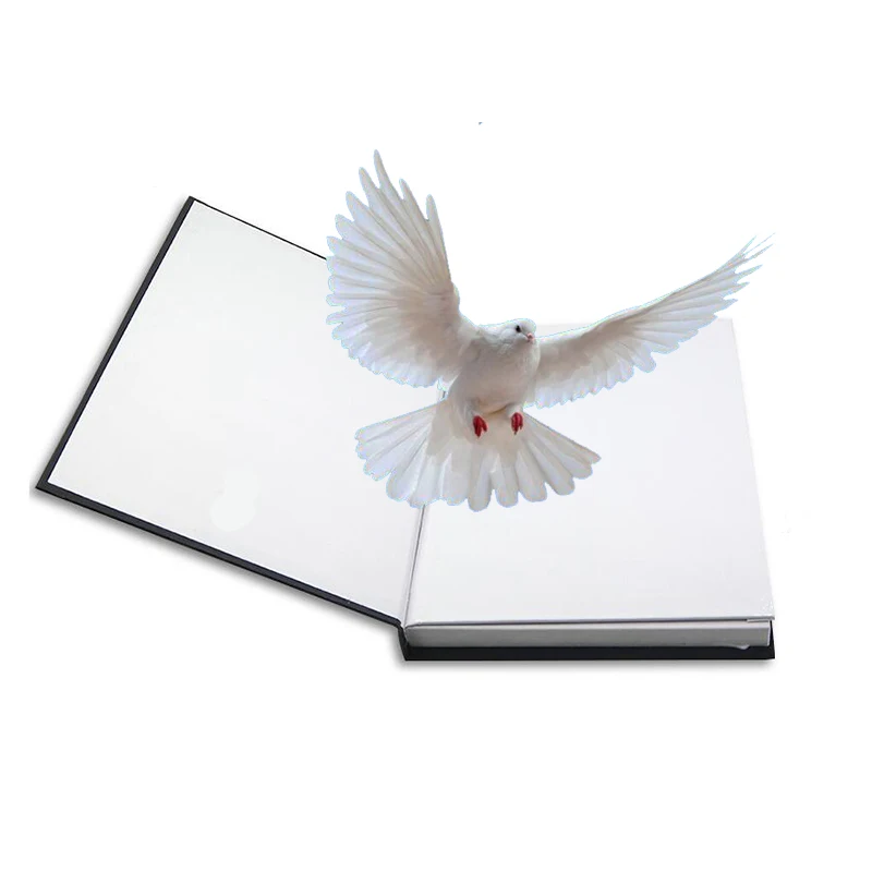 

Fire Dove Book Stage Magic Tricks Toys Props Wholesale And Retail