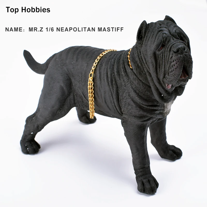 

1/6 Scale Scene annex Mr.Z Neapolitan Mastiff 001 Black Dog collar Set _Tabby Animal Model Fit 12 inch Action Figure doll toys