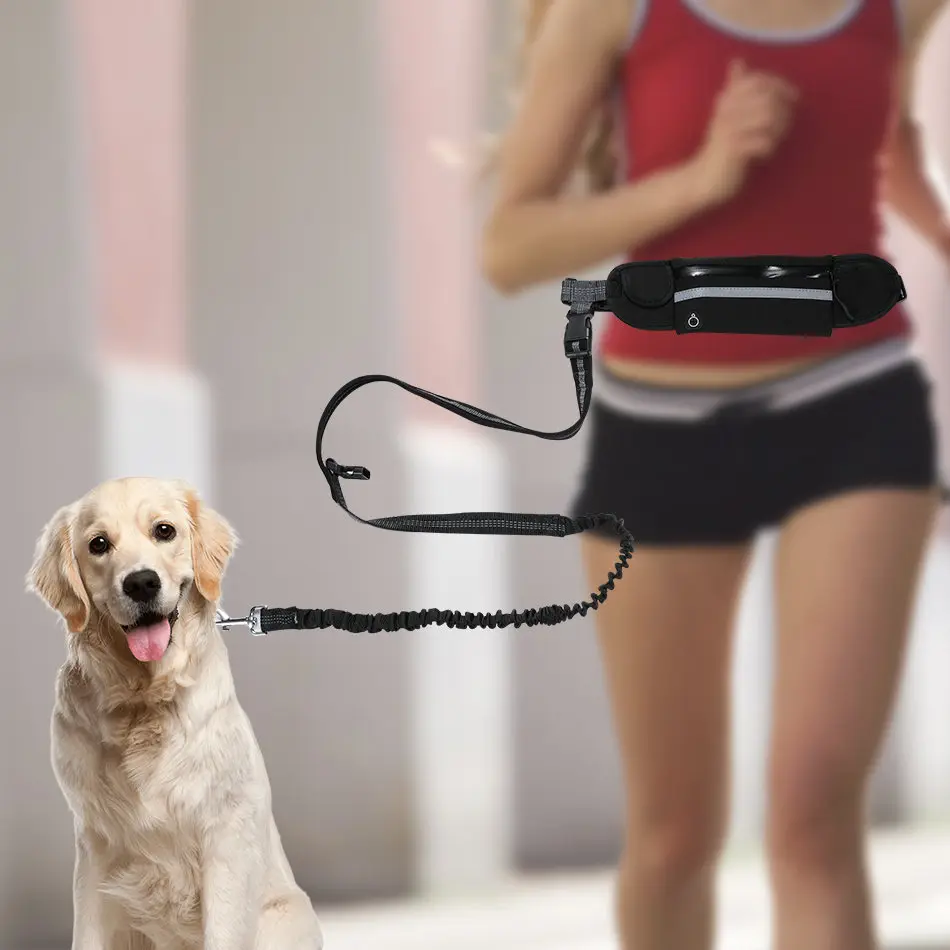 dog leash with pouch