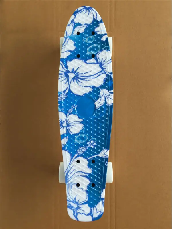 Peny skateboard  (3)