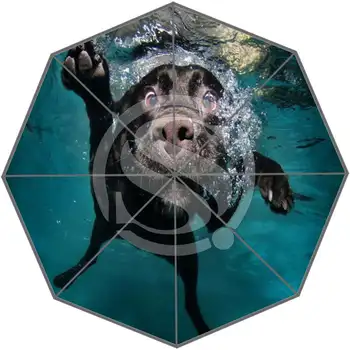 

Hot Selling Custom Cute dog Best Nice Cool Design Portable Fashion Stylish Useful Foldable Umbrella SQ0617=D9066