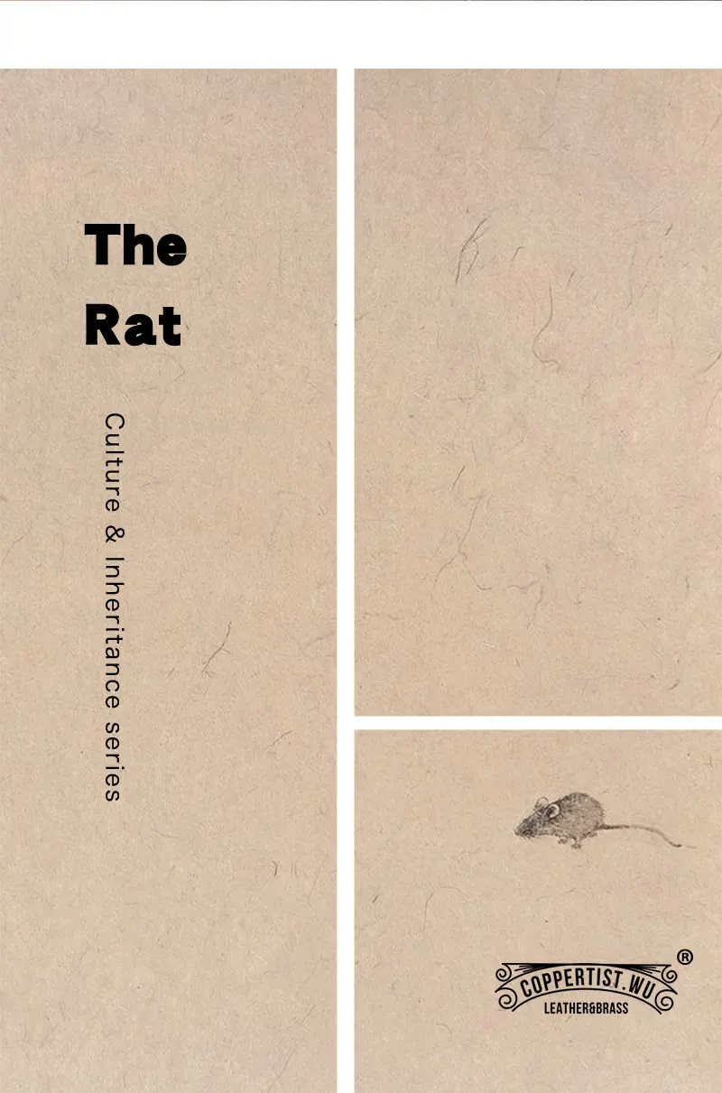 ()_02