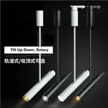 10 Вт Светодиодный светильник с алюминиевой трубкой, наклонный вверх вниз, Регулируемый поворотный Точечный светильник s