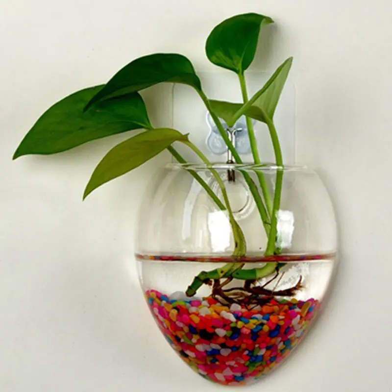 simple interesting excellent great recipiente plantas de interior de agua terrario de cristal florero colgante de pared decoracin para el hogar with plantas - Plantas Colgantes De Interior simple interesting excellent great recipiente plantas de interior de agua terrario de cristal florero colgante de pared decoracin para el hogar with plantas - Plantas Colgantes De Interior