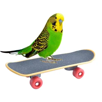 

14cm*5cm*3cm Bird Parrot Standing Swing Sporting Toys Cockatiel Budgies Mini Skateboard