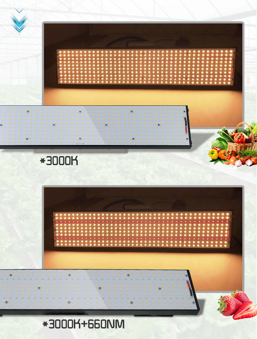 300W_02