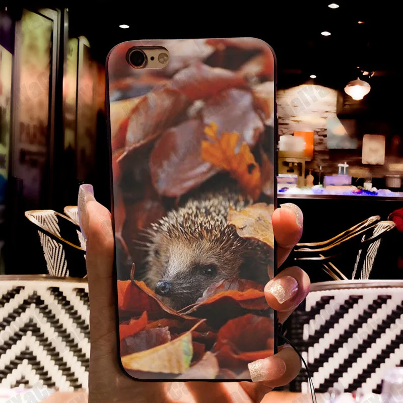 MaiYaCa Love Cute Pretty Hedgehogs Amazing Phone Accessories Case for Apple iPhone 8 7 6 6S Plus X 5 5S SE 5C Cellphones MaiYaCa Love Cute Pretty Hedgehogs Amazing Phone Accessories Case for Apple iPhone 8 7 6 6S Plus X 5 5S SE 5C Cellphones