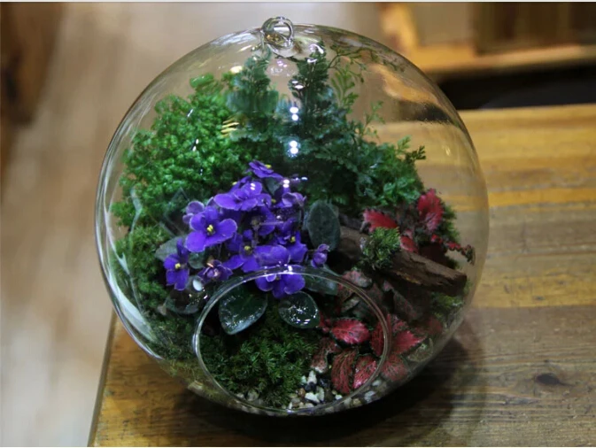 Glass Plant Flower Hanging Vase Hydroponic Container Pot Home Wedding Decor Gift 