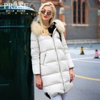 Best Price as low as $305 Wholesale Apparel & Accessories