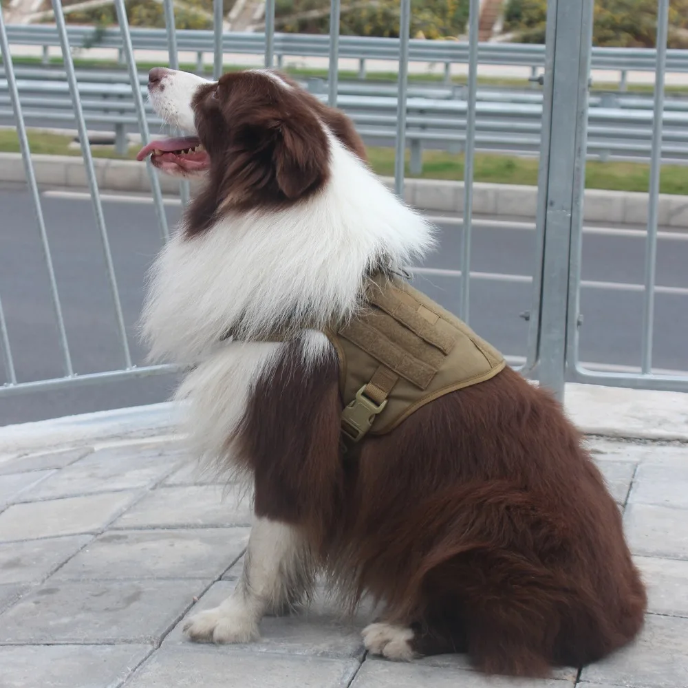 dog body harness
