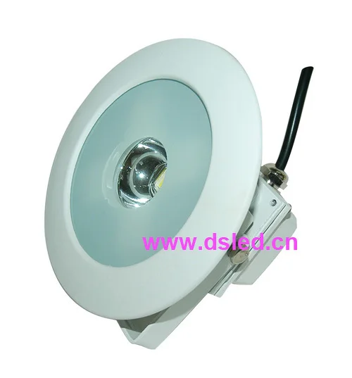 

Good quality,Waterproof ,high power 10W LED outdoor light,LED floodlight,DS-TN-26A-10W,110V/220V,2-year warranty,
