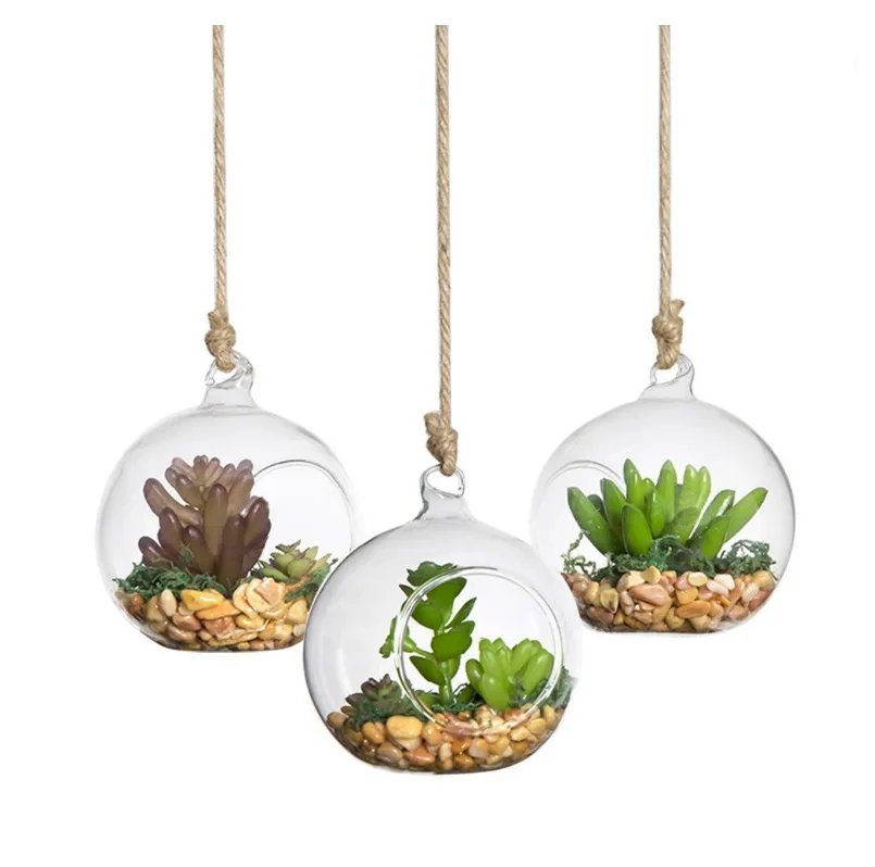 Buy Transparent Ball Globe Shape Clear Hanging Glass Vase Flower Plants
