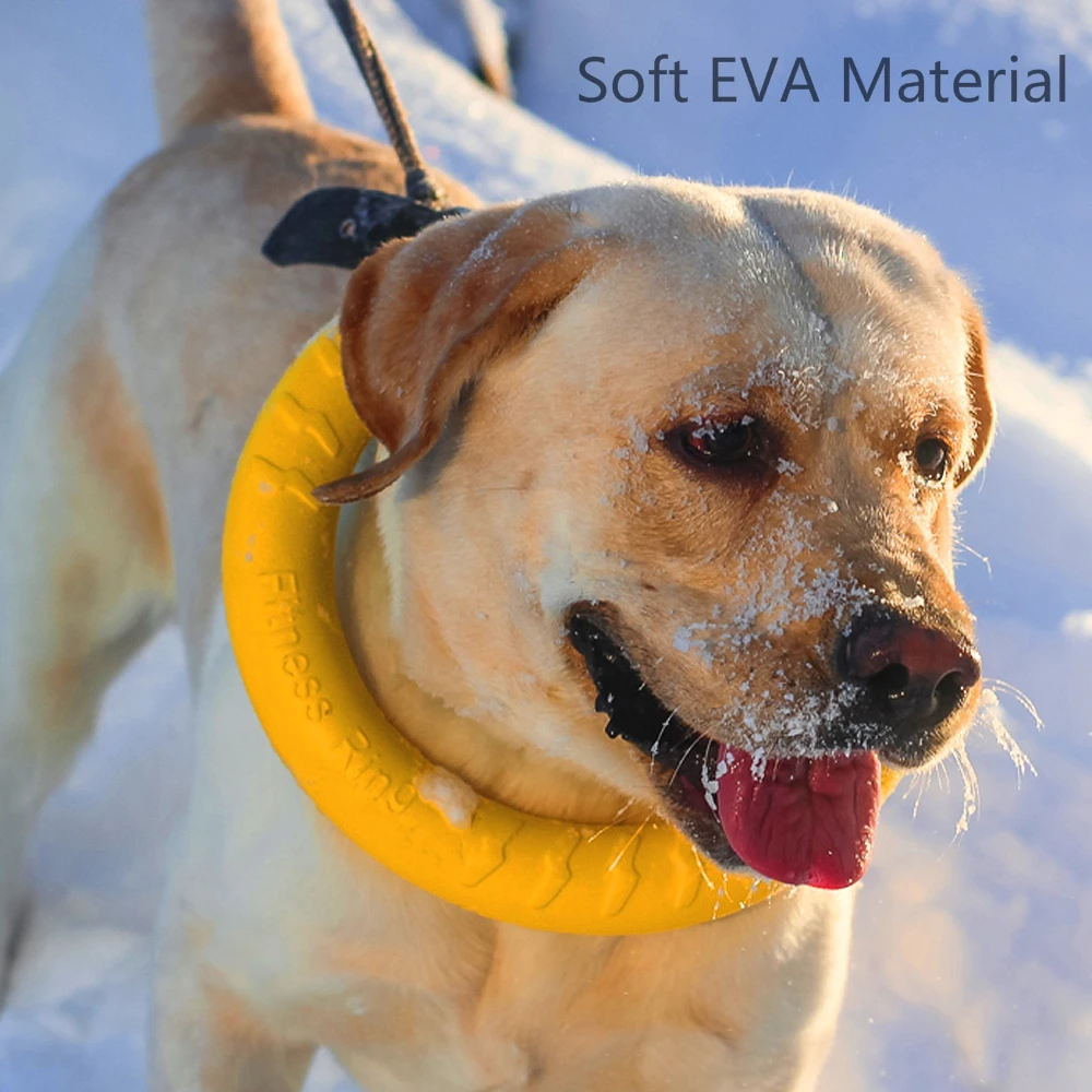 برمائية الكلب لعب الكرة مع حبل/تحلق أقراص/مضغ لعبة حلقة إيفا الحيوانات الأليفة لعبة للكلاب التفاعلية الكرة ل صغيرة/كبيرة الكلاب القطط برمائية الكلب لعب الكرة مع حبل/تحلق أقراص/مضغ لعبة حلقة إيفا الحيوانات الأليفة لعبة للكلاب التفاعلية الكرة ل صغيرة/كبيرة الكلاب القطط