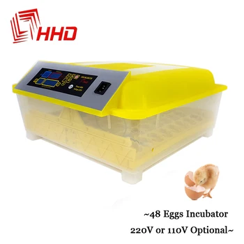 

Incubator Full Automatic Digital Brooder Chicken Duck Egg Incubator Thermostat for Hatching Quail Poultry Eggs Incubator brooder