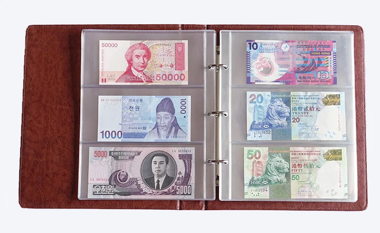 Loriver Página de álbum de 10 Piezas para Billetes Hojas de Papel extraíbles de 3 líneas de Papel Moneda 