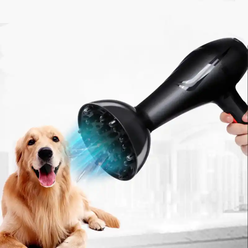 dog hair dryer