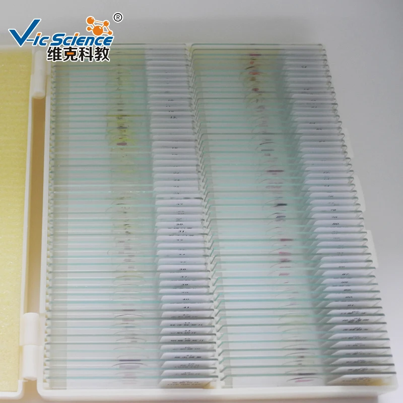 

100pcs Animal Histology Prepared Slides