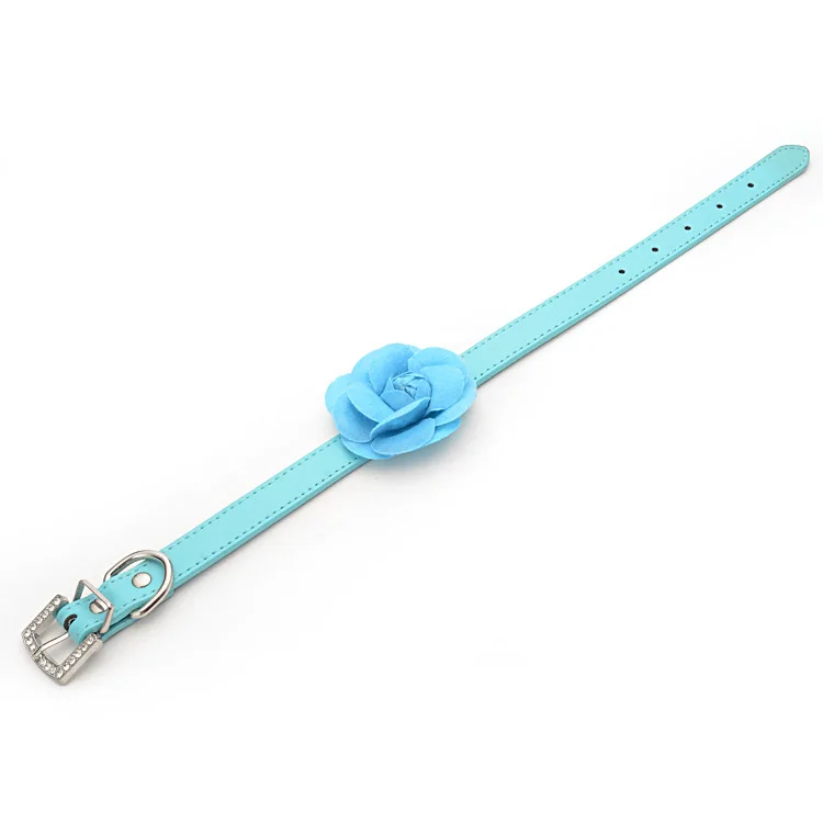 DCHL022001 (10)