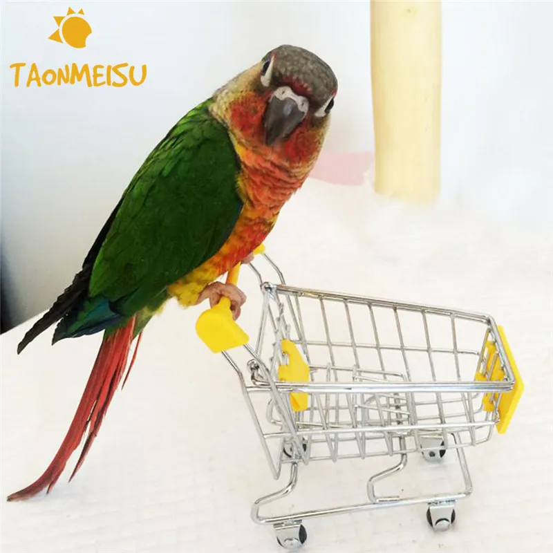 Pet Cat Parrot toy bird Supermarket Shopping Cart shopping trolley Kids