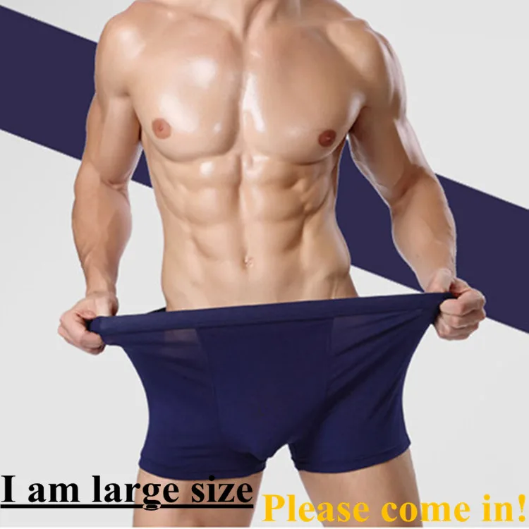 boxer
