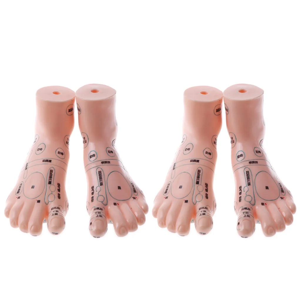 2 Pair 19cm Human Feet Model - Massage Acupuncture Reflexology Acupoint Medicine Learnin Study Kit