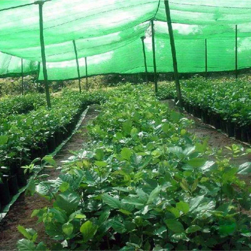 4*8 м 40% солнцезащитный козырек ткань для растительного покрытия теплица сарай зеленый солнцезащитный козырек для сада патио Orchard аксессуары DIY