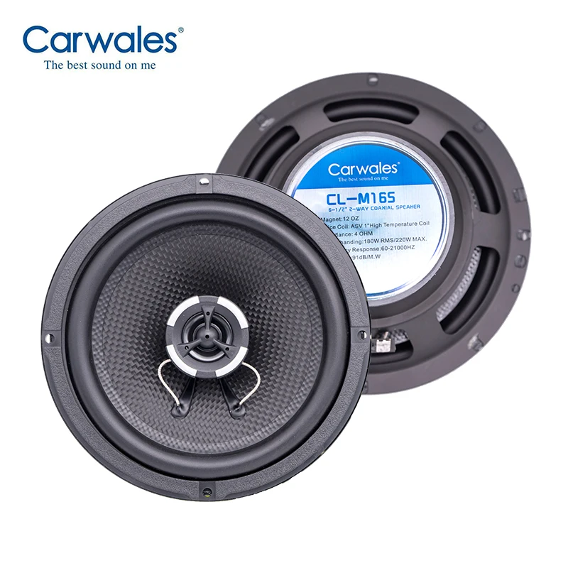 2 way coaxial speakers