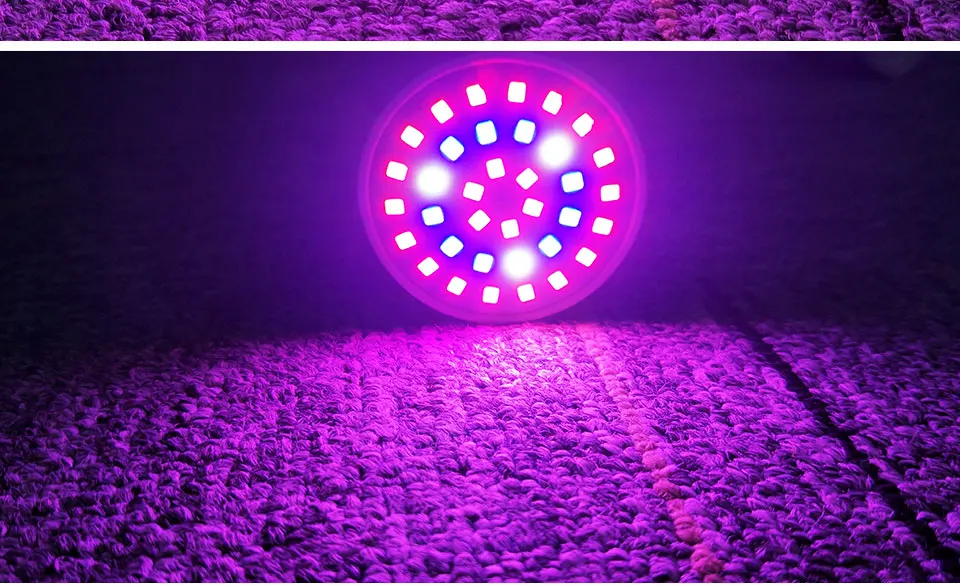 led plant grow light (8)