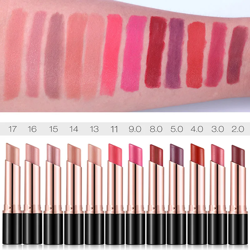 

High Quality Matte Lipstick Moisturizer Cosmetics Lip Gloss Matte Long Lasting Wateproof Cosmetic Makeup