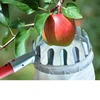 Recolector de frutas de Metal de alta calidad, herramientas de jardinería, recolector de frutas para huerto de manzana y melocotón, herramientas de mano para recoger árboles ► Foto 1/6