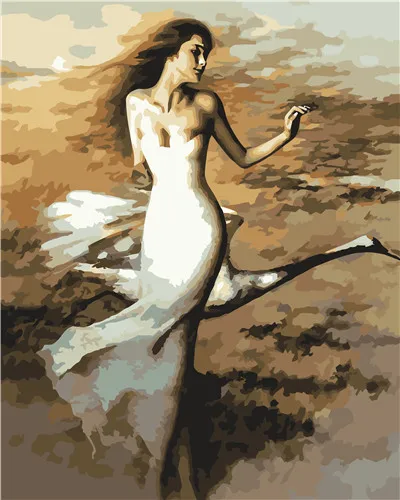    40×50_