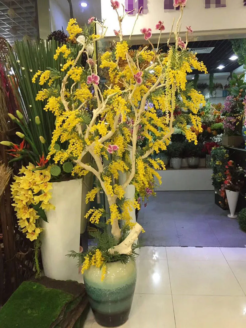 5292232649_419520952